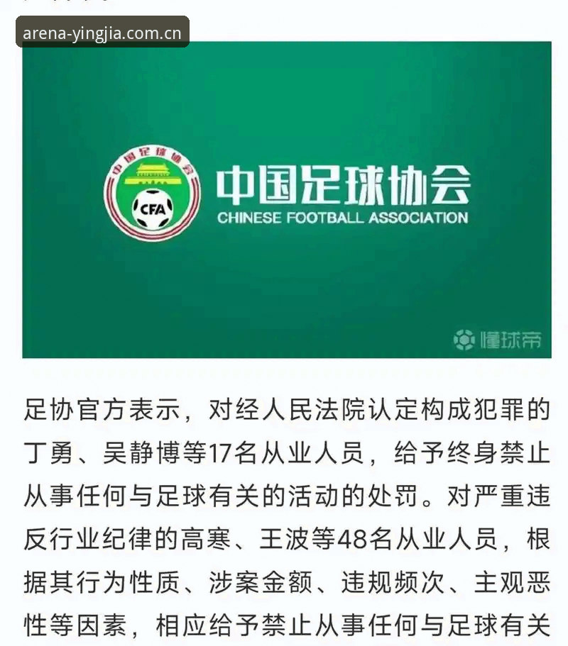 中国足协第三批禁足名单全面解析：17人终身禁赛，48人面临重罚
